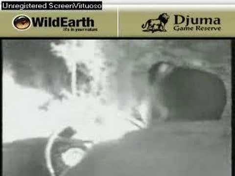 Sunset drive 110907-15