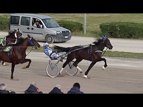 Aversa trotto 25 Gennaio 2020 - 1° Corsa