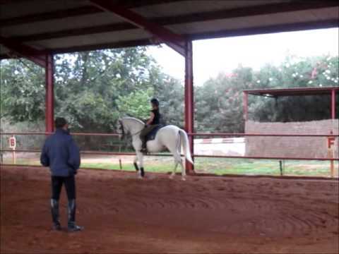 Jane Brown, Vagabundo and Rafael Soto, Epona Eq