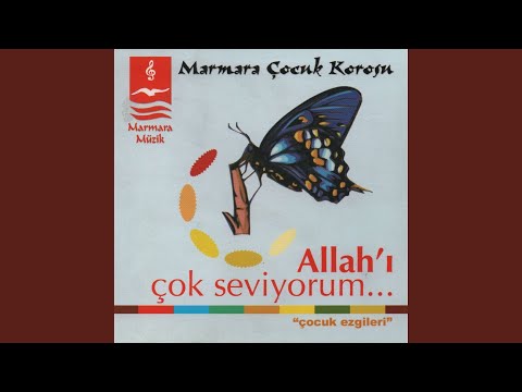 Allah'ı Çok Seviyorum