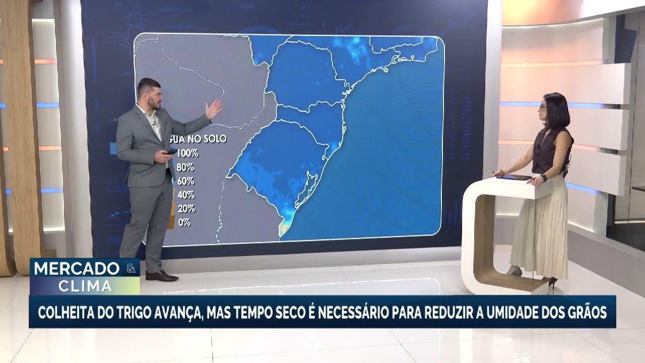 Colheita do trigo avança, mas tempo seco é necessário para reduzir a umidade dos grãos
