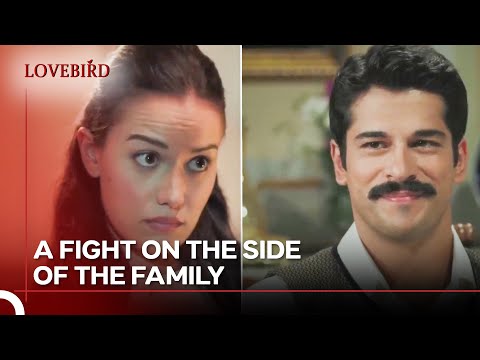 Besime Wanted To Prevent A Fight - Lovebird Episode 3