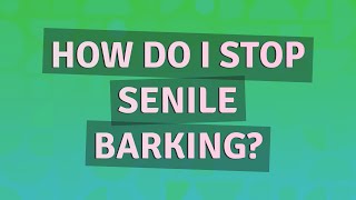 How do I stop senile barking?