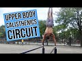 FULL UPPER BODY CIRCUIT WORKOUT | BODYWEIGHT ONLY TRAINING FOR STRENGTH HYPERTROPHY AND ENDURANCE