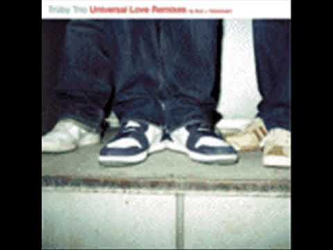 Trüby Trio Feat Marcus Begg - Universal Love (Ame Rootdown Round Midnite Mix)