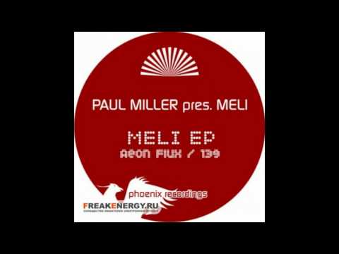Paul Miller Pres. Meli - 139 (Original Mix)