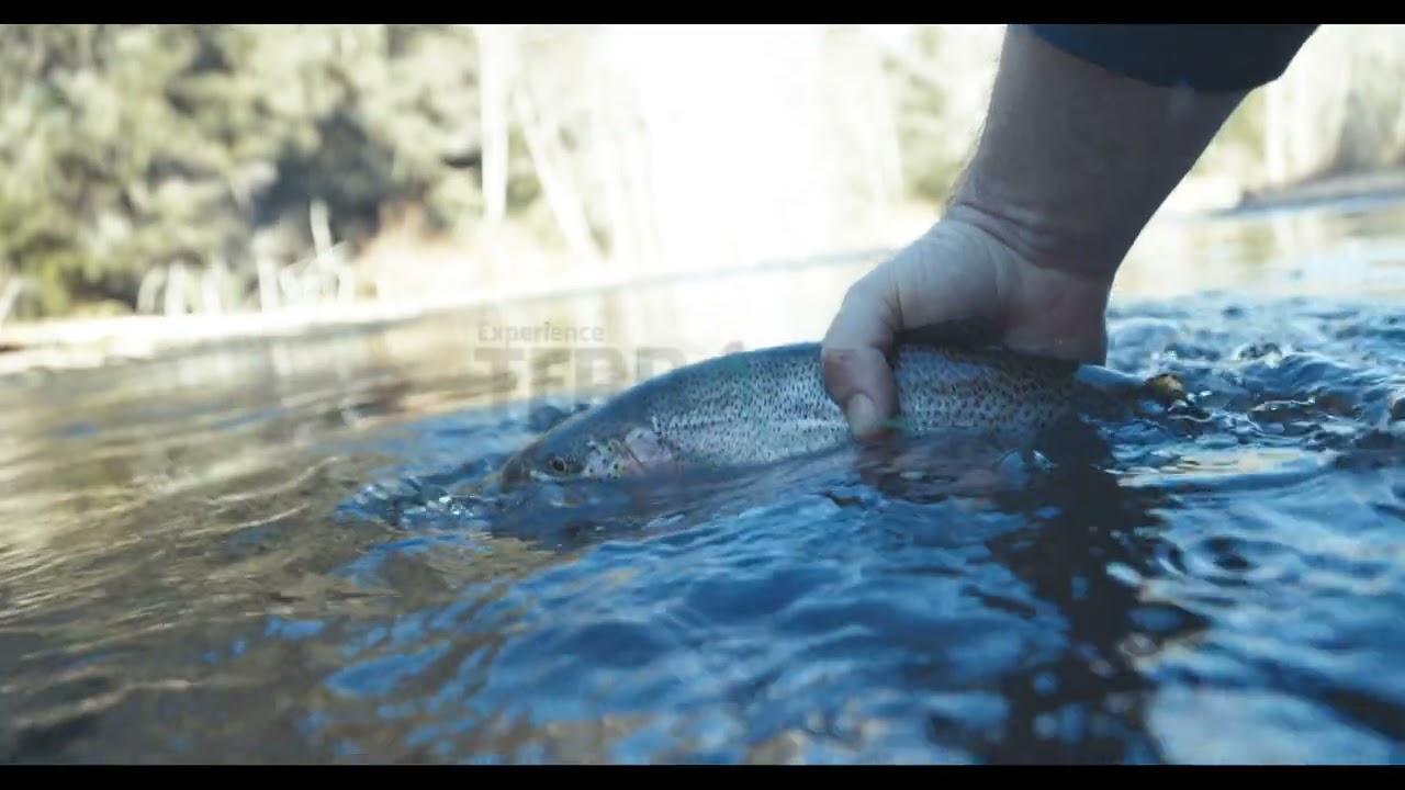 What is the best water temperature for bass fishing? Tipseri