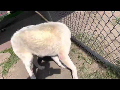 Meet Heider A1820153