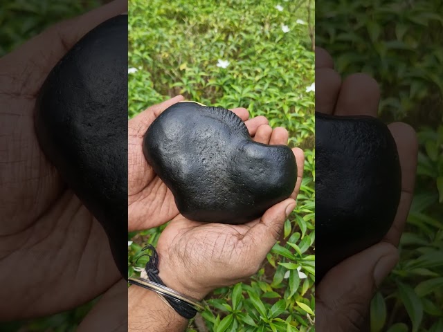 Varahi Devi Varahi Amman Shakti Sapta Matrikas Goddess Lalita Tripurasundari Shaligram video