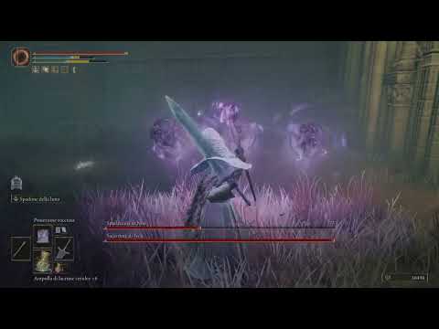 ELDEN RING spadaccina e sacerdote di nox