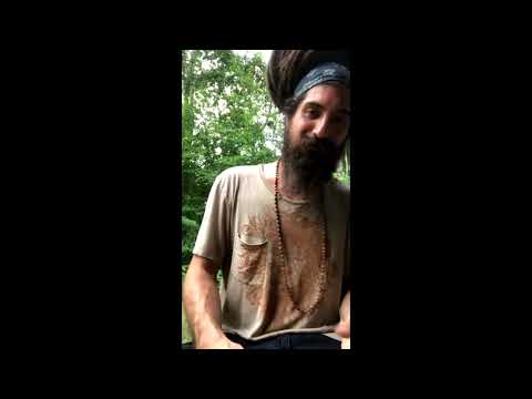 Foragers Broadcast Ep. 65 - Shamanism, Ayahuasca, and Live Q+A