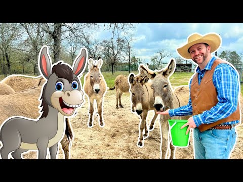 Farmer in a cowboy hat offers food to several donkeys in a dirt yard; a cartoon donkey cutout stands on the left with a bright smile.