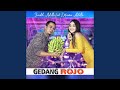 Gedang Rojo Feat Difarina Indra