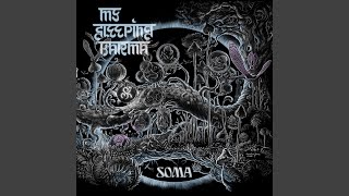 Download lagu Pachyclada mp3 Download lagu Pachyclada mp3