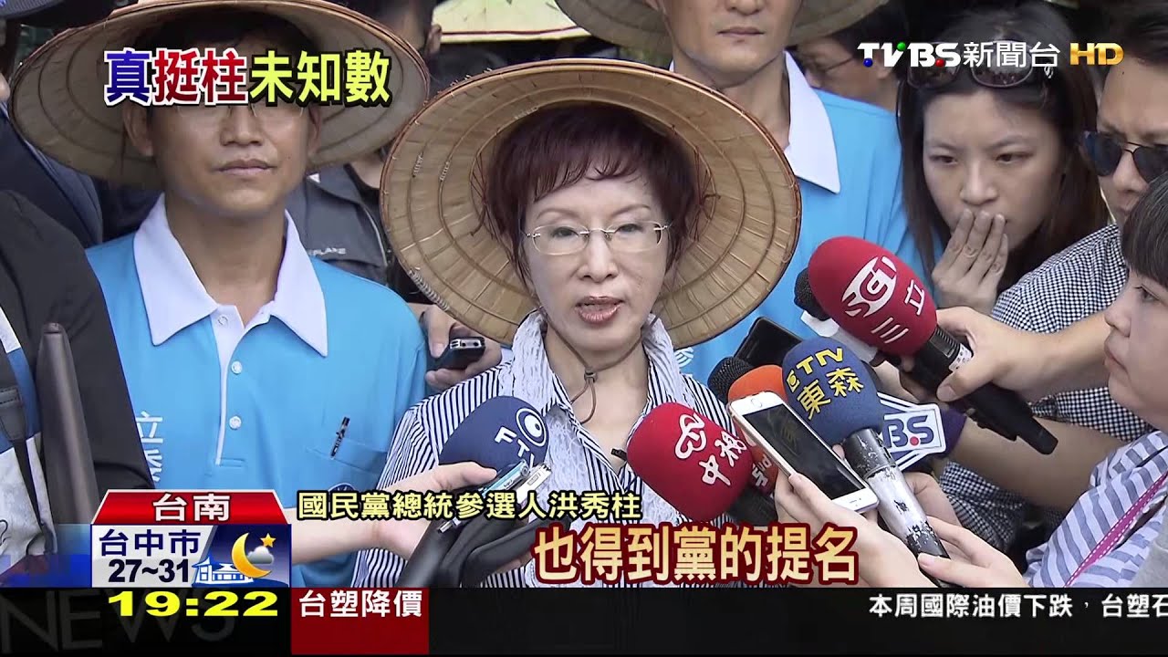 「非典型」拜票！　洪秀柱台南採龍眼當農夫