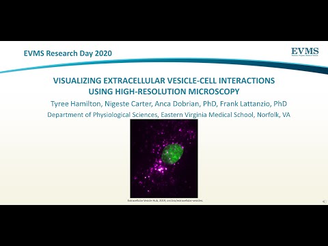 Thumbnail image of video presentation for Visualizing extracellular vesicle-cell interactions using high-resolution microscopy