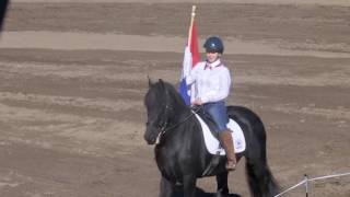 Friesian Keuring 2016
