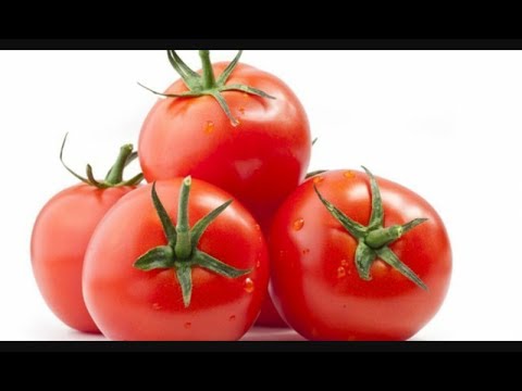 Olej arganowy organiczny szamponu bez silikonu z olejem arganowy Olej słonecznikowy włosy są lepsze niż łopianu