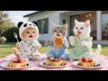 Mama Cat Membuat Waffle Buah Madu Untuk Menyambut Teman Teman Ginger Video Kucing Lucu