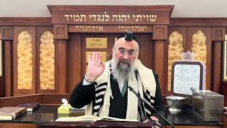 ברכה אחרונה על חצי כזית משבעת המינים (הרב יצחק ישראלי) - התמונה מוצגת ישירות מתוך אתר האינטרנט יוטיוב. זכויות היוצרים בתמונה שייכות ליוצרה. קישור קרדיט למקור התוכן נמצא בתוך דף הסרטון