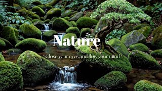 3  Hours Deep Sleep Nylon Guitar & Water Sounds 🌙 | Ambient Nature