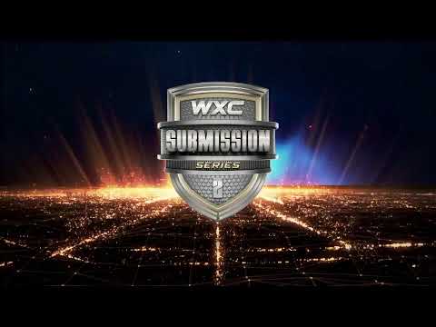 Multistreaming with Restream.io