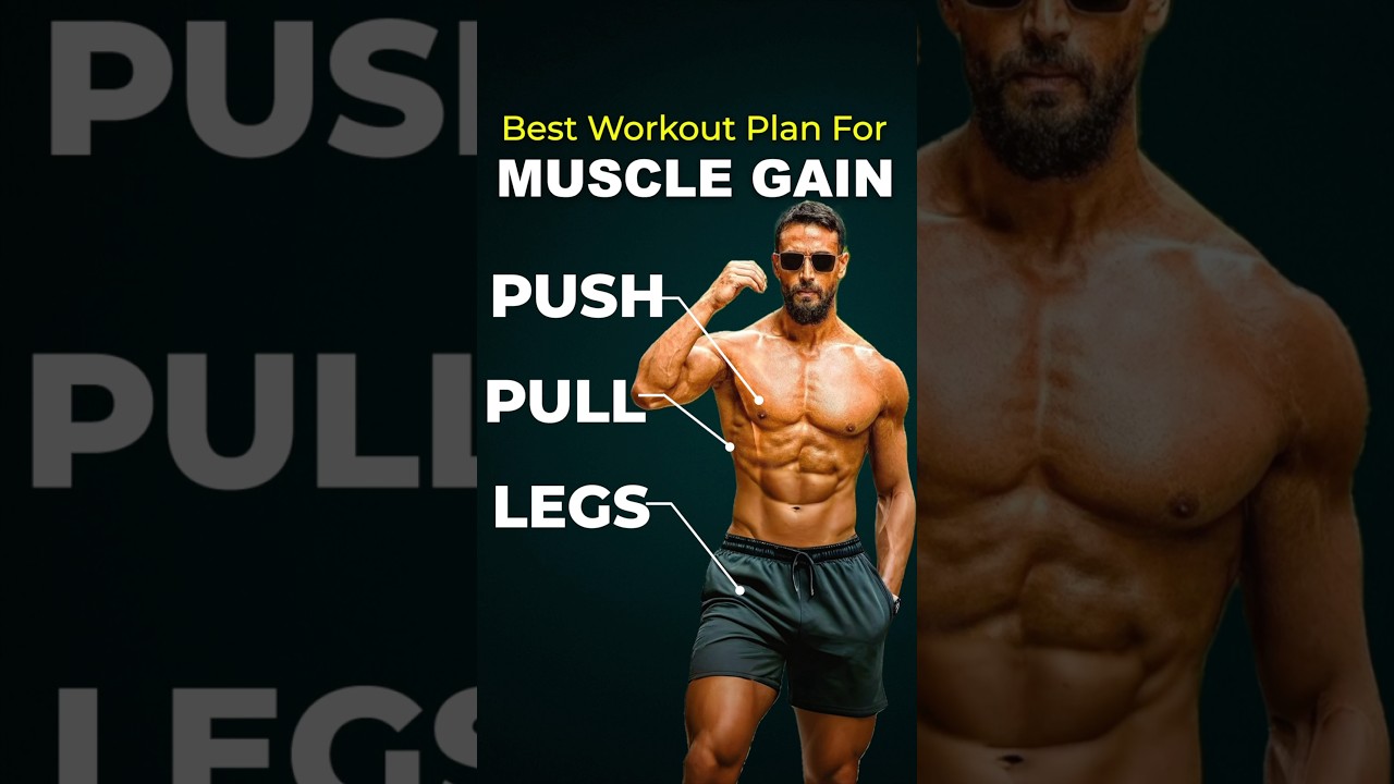 Best Push Pull Legs Workout Plan for Muscle Gain !