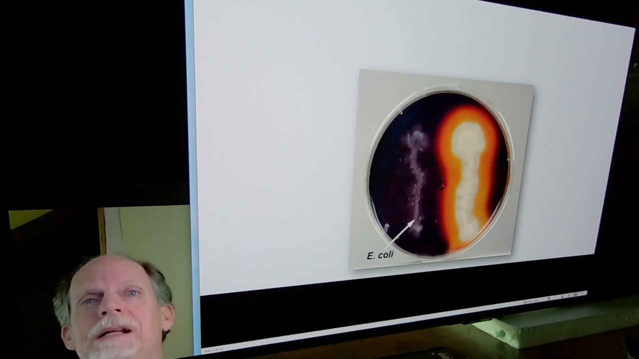 Microbiology Lab Practical Review 2