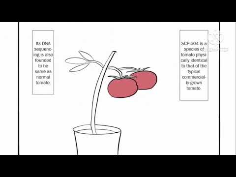 Oversimplified SCP Comics (Dub) | Chapter 5 (SCP-504, Critical Tomatoes) !COLLAB!