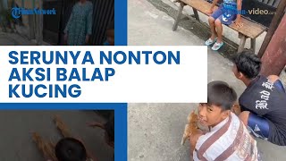 Lucunya Aksi Balap Kucing, Kurir Paket Sampai Hentikan Motor dan Nonton Balapan.