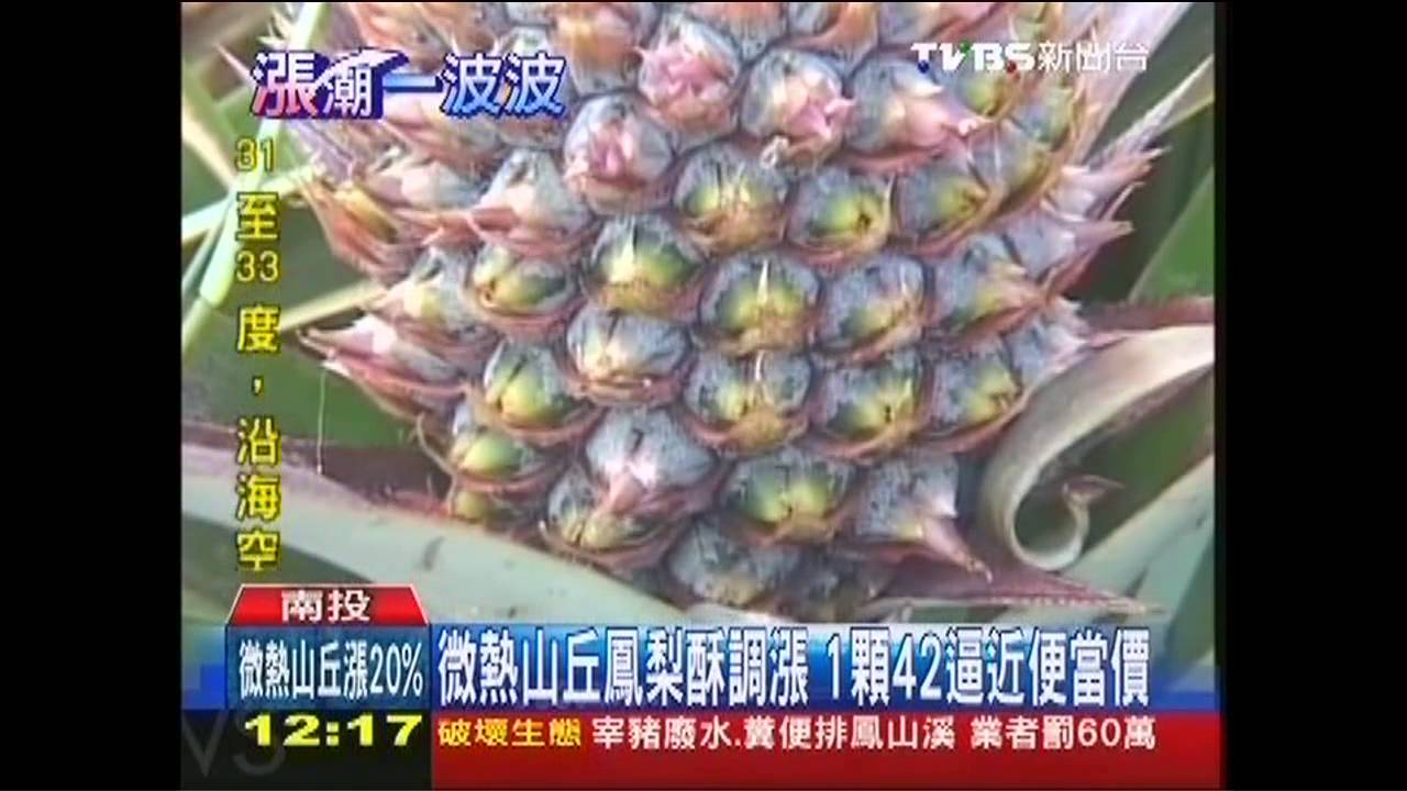 微熱山丘鳳梨酥調漲　1顆42逼近便當價