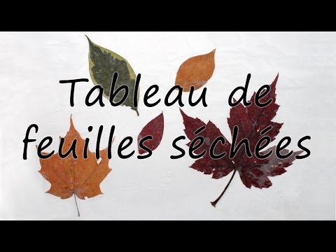 Bricolage avec feuilles d'automne