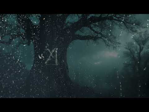 Lluvia by Dimension 11 (2025)