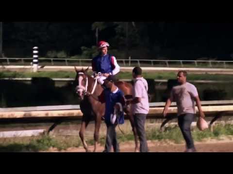 (Puerto Rico) Arquitecto y Don Carlos R a la Copa Confraternidad