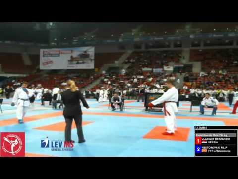 Vladimir Brezancic vs Nestorovski Filip _ Balkan Karate Championships 2014
