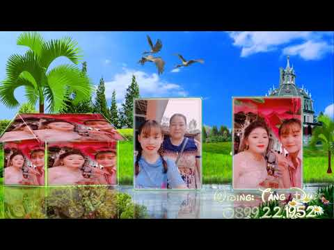 Lệ tình - Vũ Tuấn