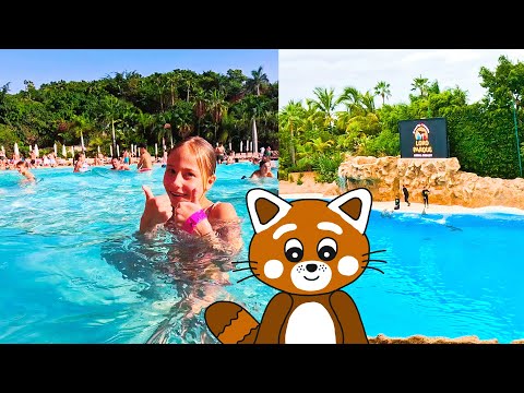 Pukkins på vattenlandet och djurparken i Teneriffa - Lek med oss - roligt barnprogram