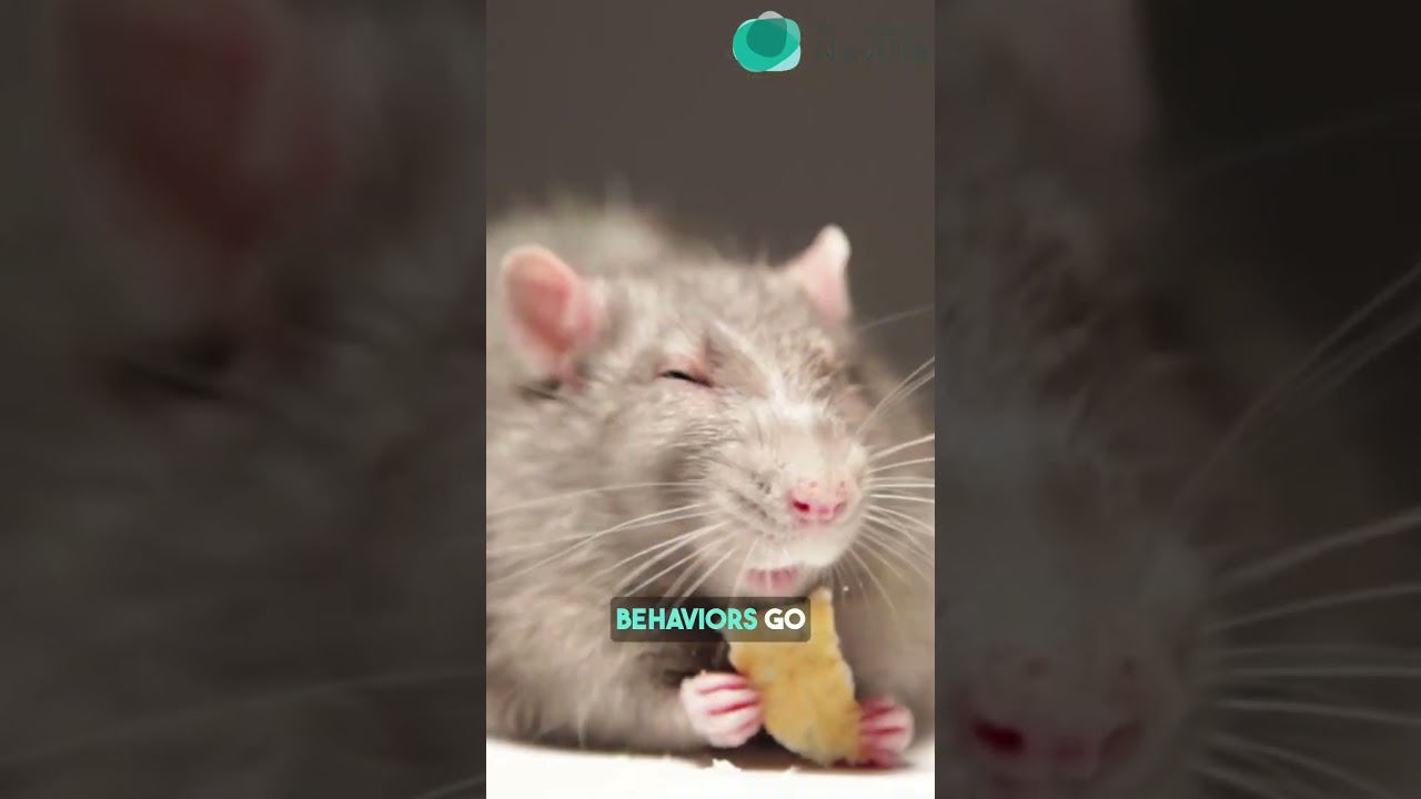 Is Adrenal Fatigue the Hidden Cause of Your Depression?