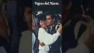 TiGRES DEL NORTE (las flores de mi país)