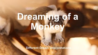 Dreaming of a Monkey - Dream Interpretations