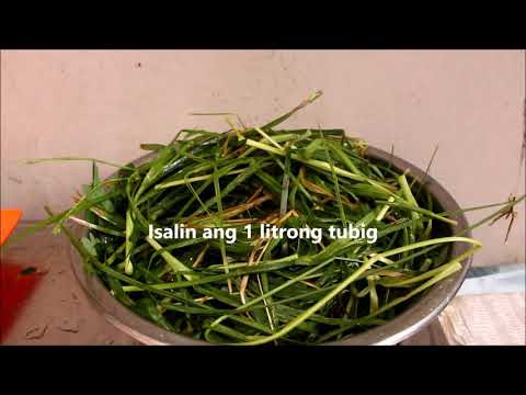 Ano at kailan upang kumain bago at pagkatapos ng ehersisyo upang mangayayat Slimming may caffeine