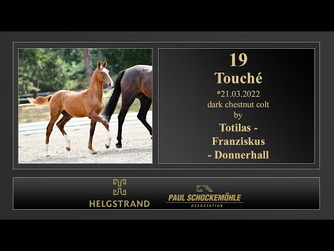 19 Touché by Totilas - Franziskus - Donnerhall