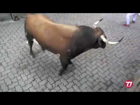 ENCIERRO SAN FERMÍN 8 JULIO 2016
