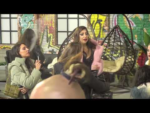 SVADJA I NEREŠIV PROBLEM IZMEDJU PLESAČICA - 14.11.2022. - INSTA TV