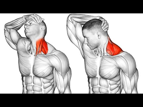 The Best Stretching Exercises for Your Neck