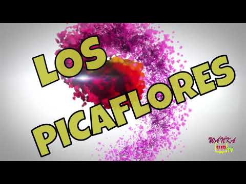 EL MEJOR CONTRAPUNTO DEL HUAYLARSH