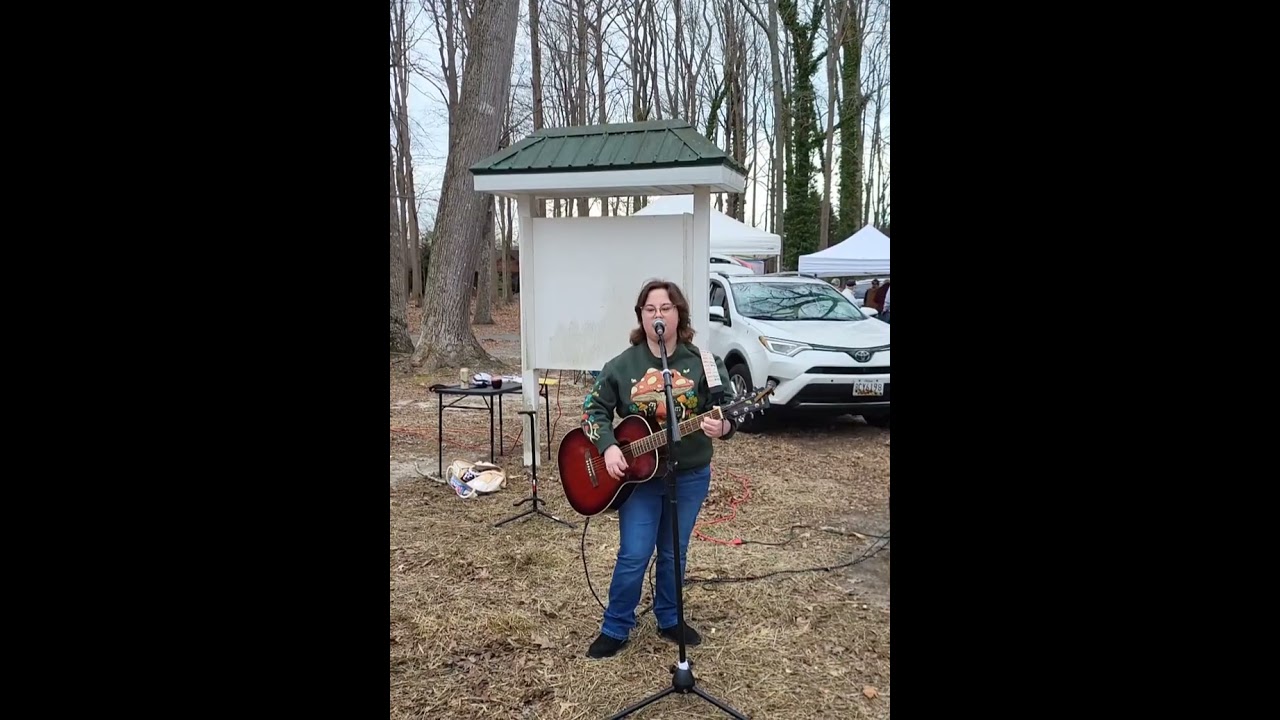 Promotional video thumbnail 3 for Allie Donovan Music