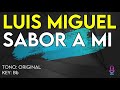 Luis Miguel - Sabor A Mi - Karaoke Instrumental