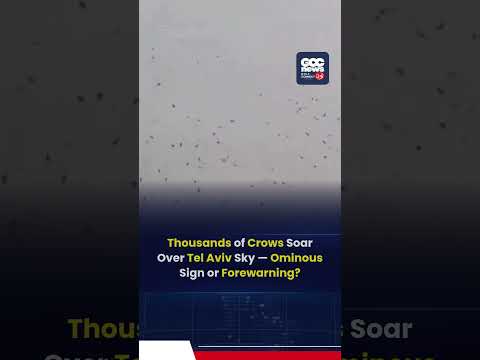 Thousands of Crows Fill Tel Aviv Sky — Viral Footage Sparks ‘Omen’ Debate
