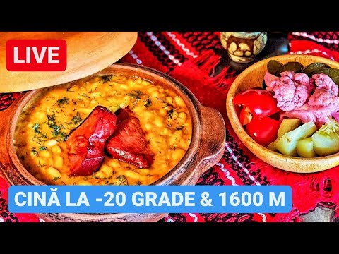 🔴 LIVE - CINĂ GORJEANĂ la 1600 metri ALTITUDINE | Valea Mariei - RÂNCA